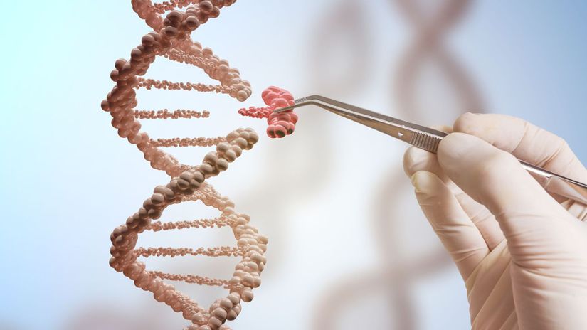 geneticke inzinierstvo
