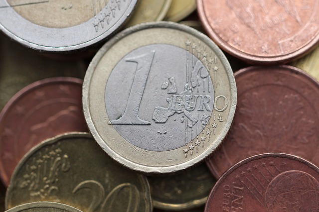 euro